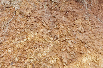 Soil background texture