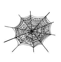 Vector hand draw of Spider web