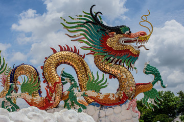 Obraz premium Chinese dragon