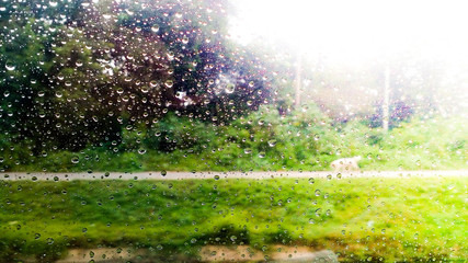 Fototapeta premium Water droplets on a car window.