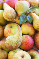 Apples and Pears