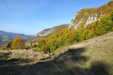 Fototapeta na wymiar Mountain autumn landscape with colorful forest