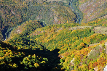 Mountain autumn landscape with colorful forest