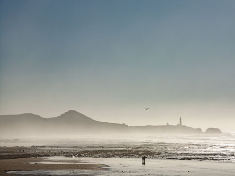 Oregon Coast, Mist