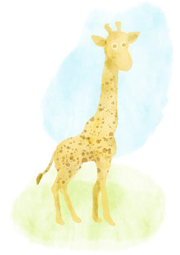 Watercolor giraffe hand painted illustration from animals collection