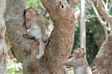  make friendly again, reconcile