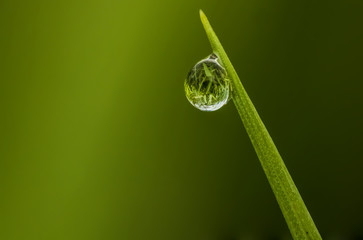 drop