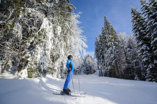 Wide low point of view shot of happy skier on a ski slope in the forest with big beautiful trees covered in snow. Winter sports concept. Carpathian Mountains, Bukovel, Ukraine