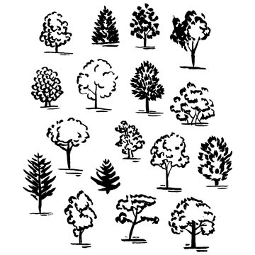 Set of hand drawn of trees. Ink style.