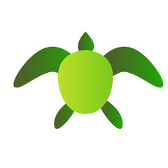 Turtle Vector