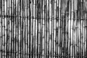 textured a curtain or a screen from a dry reed or straw for an abstract background and for wallpaper of gray color