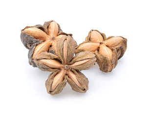 Nuts Incas , sacha inchi peanut seed on white background