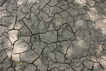 Cracked earth background