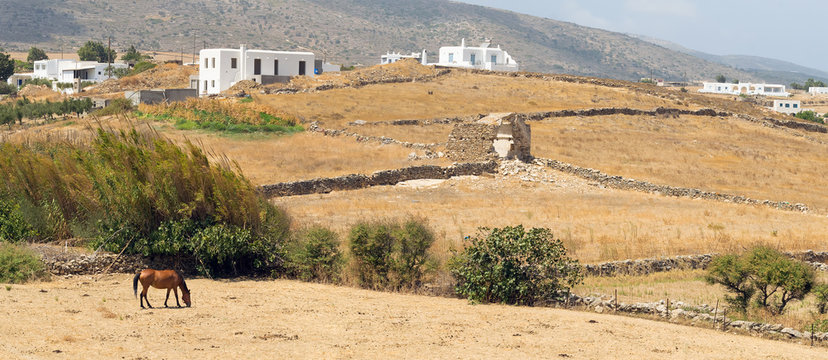 Panoramic view of a local village at Paros island in Greece with a horse eating hay.
