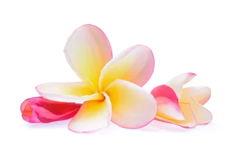 Deurstickers frangipani flower isolated on white background © akepong srichaichana