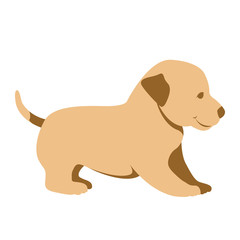 puppy vector illustration style Flat