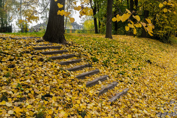 Old staircase bestrewn with yellow fallen leaves in the park