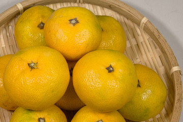 早生みかん 早生ミカン  