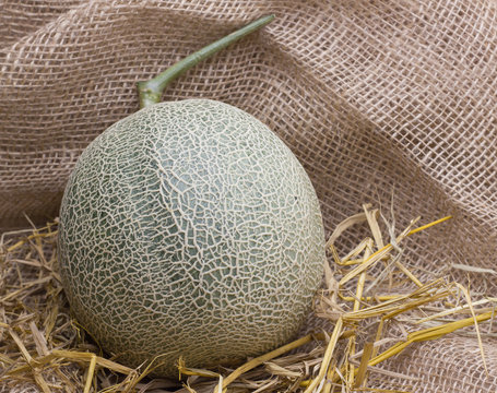 fresh melon from japan on sack cloth background