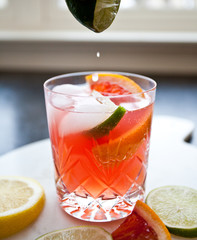 Blood Orange Soda & Gin Cocktail