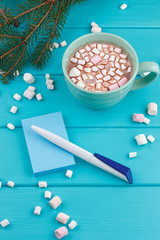hot cocoa with marshmallows