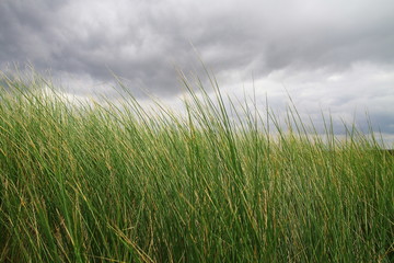 Düne, Landschaft, Strand