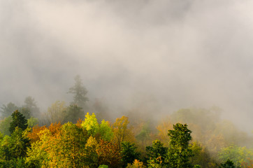 Poranne mgły i wschód słońca w Pieninach na Sokolicy .