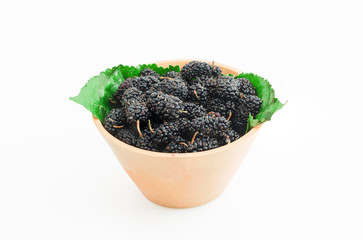 mulberries on white background