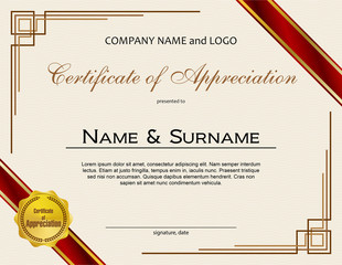 Certificate of Appreciation with medal and ribbon