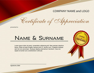 Certificate of Appreciation with medal and ribbon