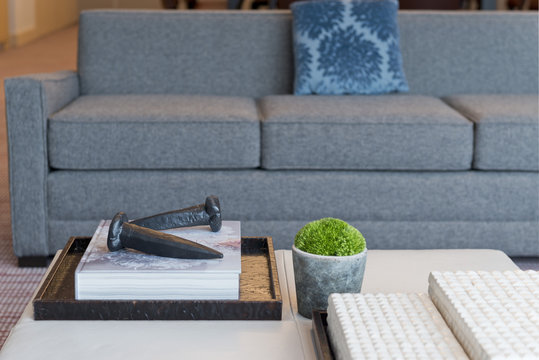 Living room with grey sofa 