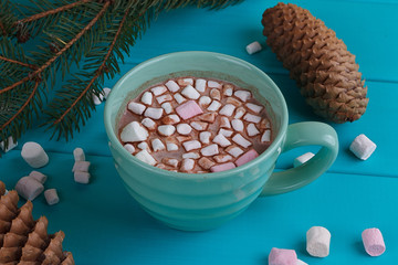 Fototapeta na wymiar Winter sill life with hot cocoa, marshmallows
