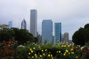 Fototapeta premium View of Chicago city center with flowers in front