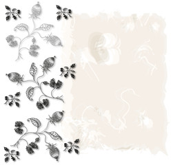 Branches with gooseberries.