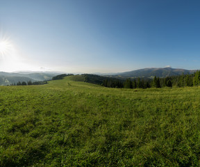 Fototapeta na wymiar Mountain meadow with green grass, trails and forest