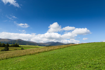 Fototapeta na wymiar Green meadow, mountain and sky with clouds