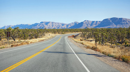 Highway in Nevada desert
