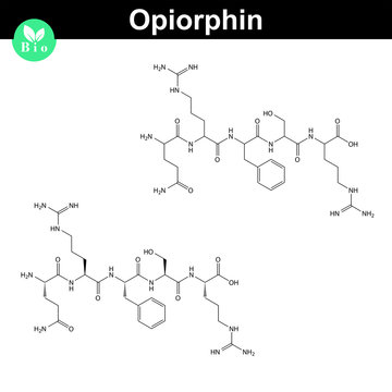 Opiorphin peptide molecular structure