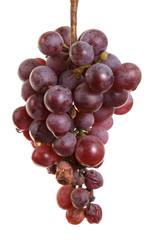 bunch of over-ripe grapes isolated on white background