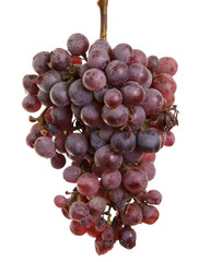 bunch of over-ripe grapes isolated on white background