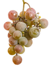 bunch of ripe grapes isolated on white background