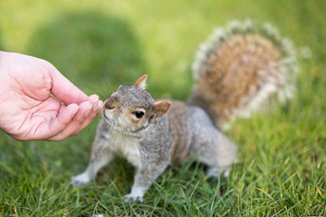 Smell Great, but where the nuts