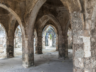 Fototapeta na wymiar old mosque ruins at Kilwa Kisivani