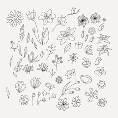 Doodle collection with various doodle flowers, leaves and branches.