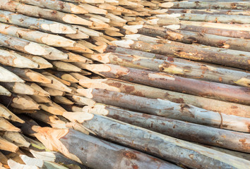 Stacked wood pine timber