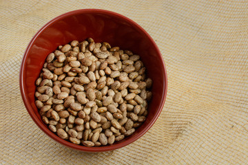 Raw dry uncooked pinto beans in red bowl