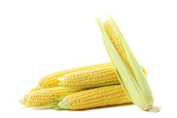 Sweet corns isolated on a white