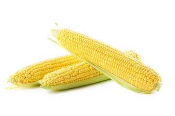 Sweet corns isolated on a white