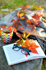 A cup of tea, a blanket and a book among the autumn leaves.