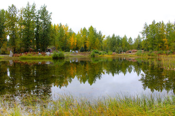 Obraz premium See in Alaska